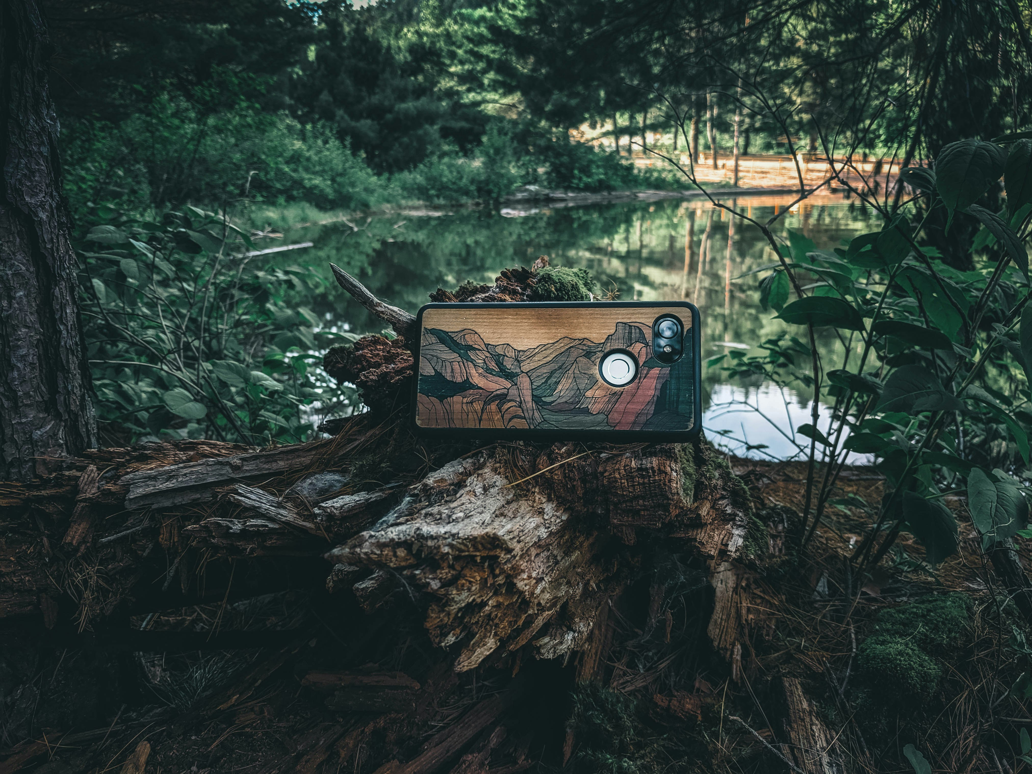 black and brown camera on brown tree log